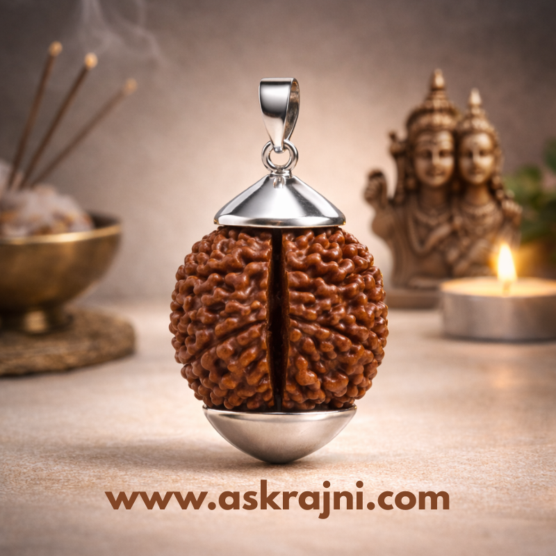 2 Mukhi Rudraksha – For Relationship Harmony, Healing & Emotional Balance